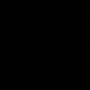 Meet your Posher, Gregory